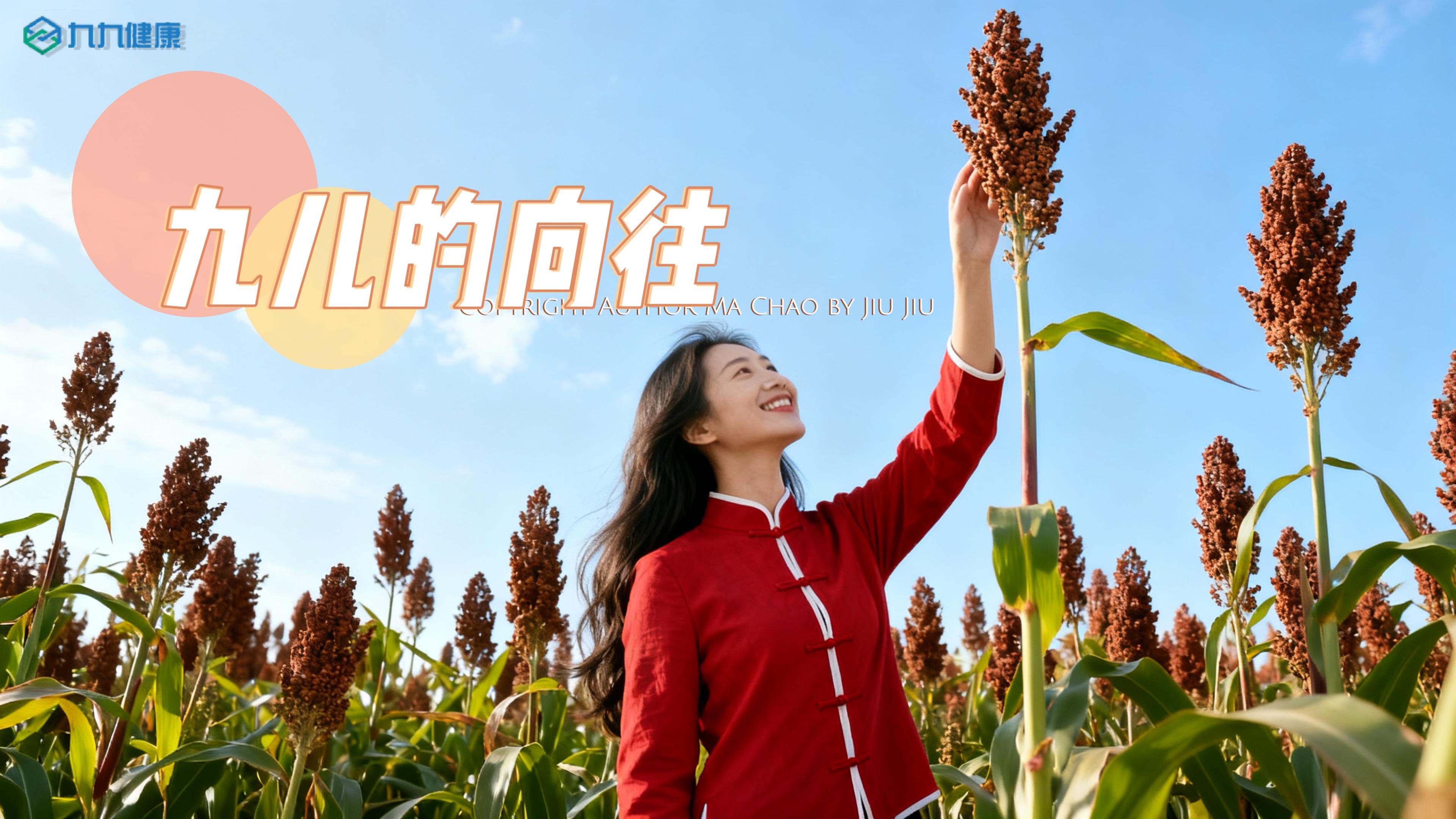 公司宣传主题曲